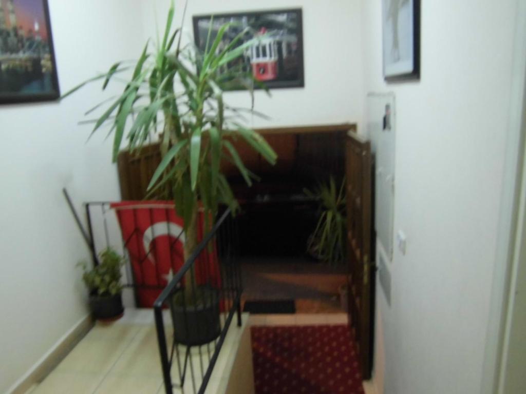 Cinar Hotel أنطاليا المظهر الخارجي الصورة